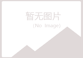 铁山区问雁化学有限公司